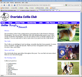 Overlake website