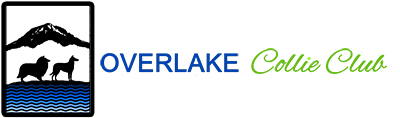 Overlake Collie Club Logo